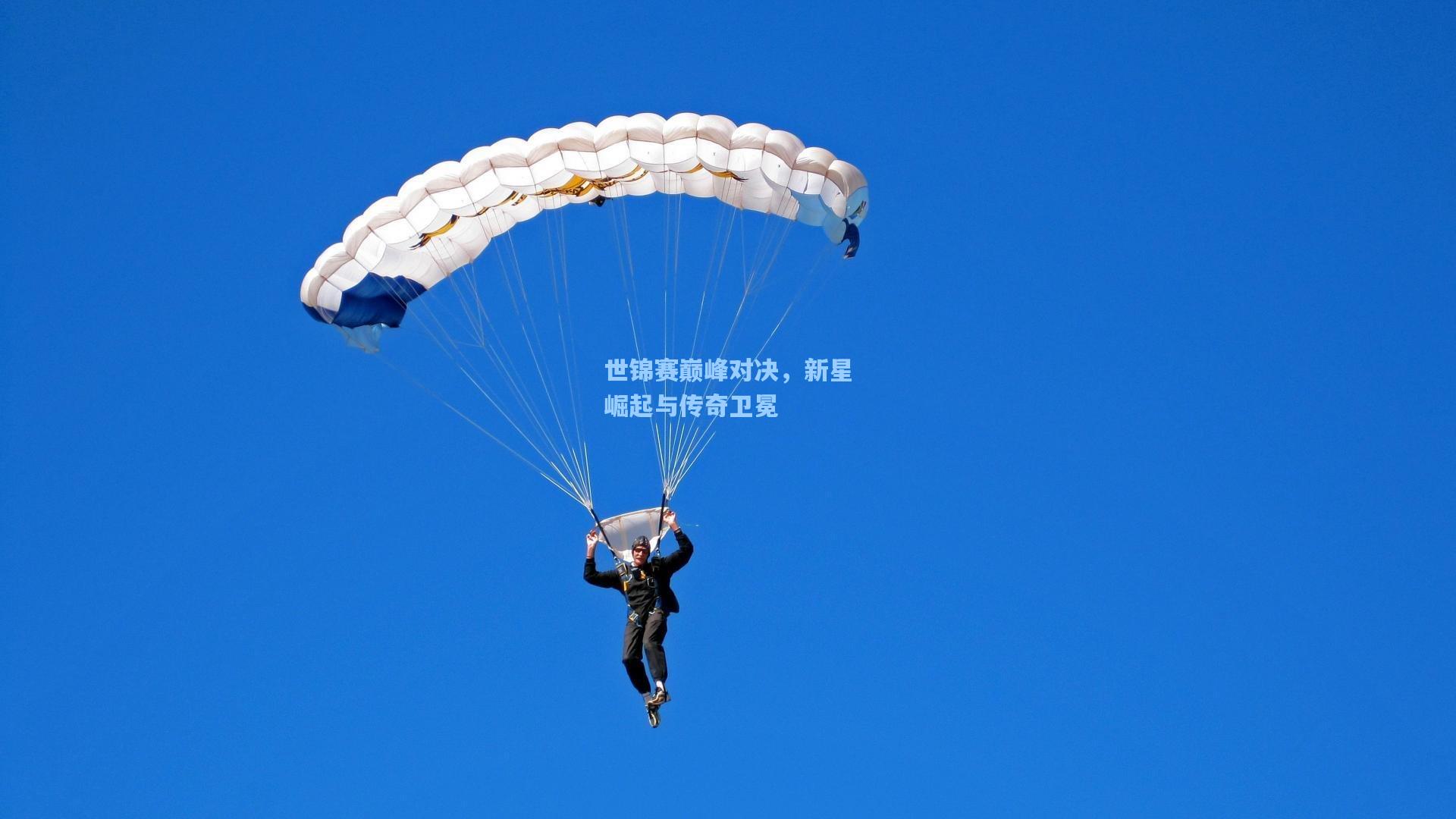 世锦赛巅峰对决，新星崛起与传奇卫冕