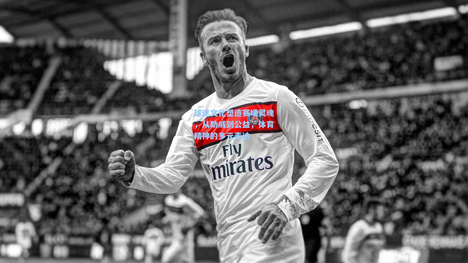 球迷文化塑造赛场灵魂，从助威到公益，体育精神的多元表达
