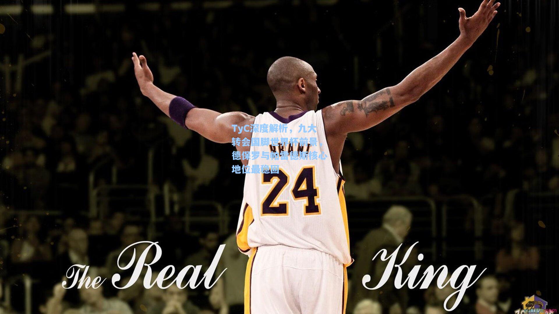 TyC深度解析，九大转会国脚世界杯前景，德保罗与帕雷德斯核心地位最稳固